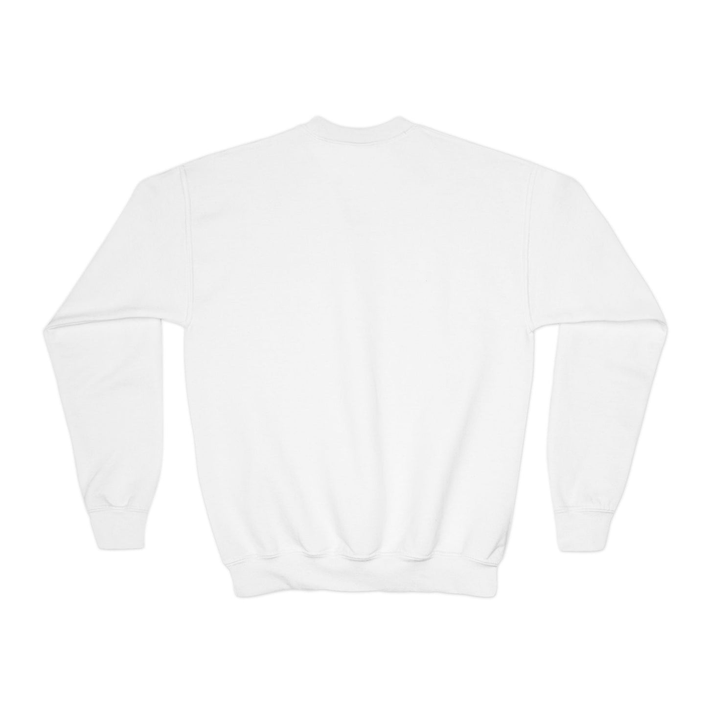 Youth Let's Go Birds Crewneck - Multiple Colors!