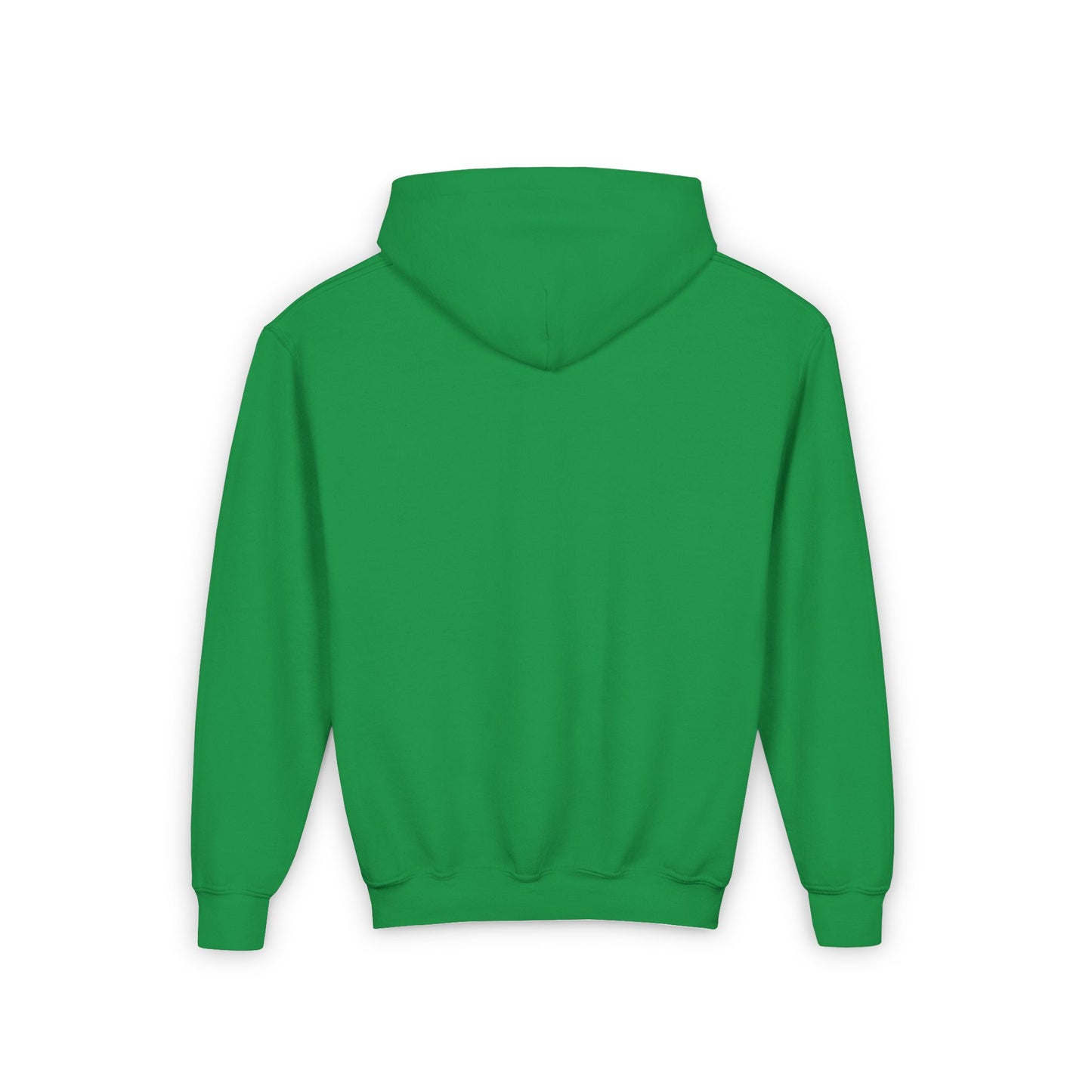 Youth Birds Hoodie
