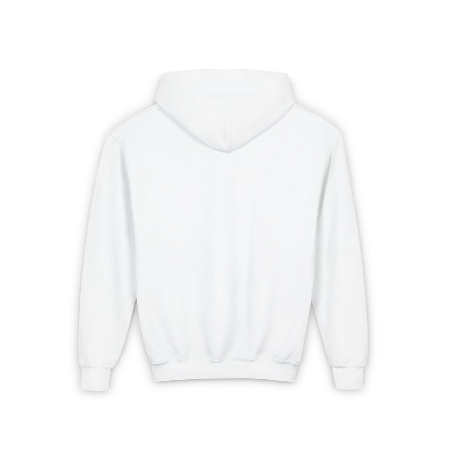 Youth Birds Hoodie