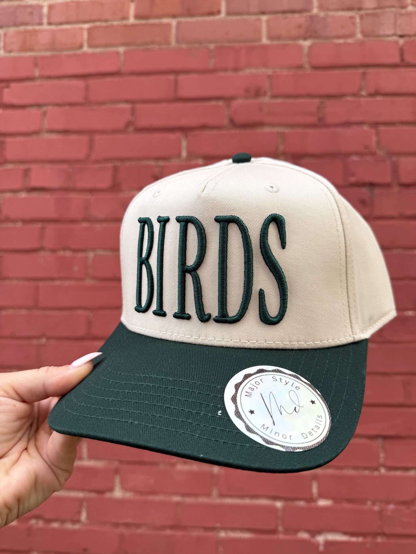 Birds SnapBack