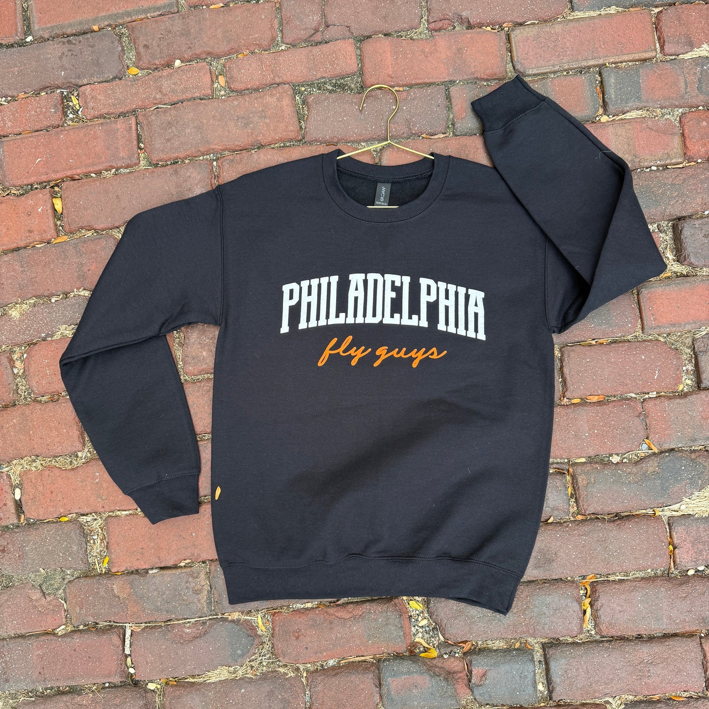 Fly Guys Puff Crewneck