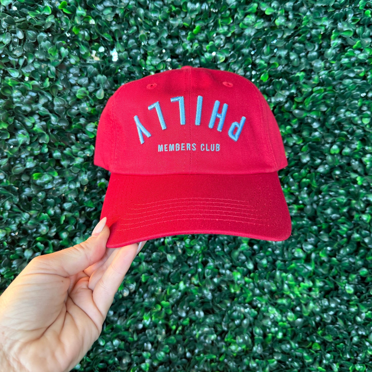 Upside Down Philly Dad Hat
