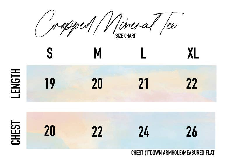 Bird Gang Mineral Washed Crop Top