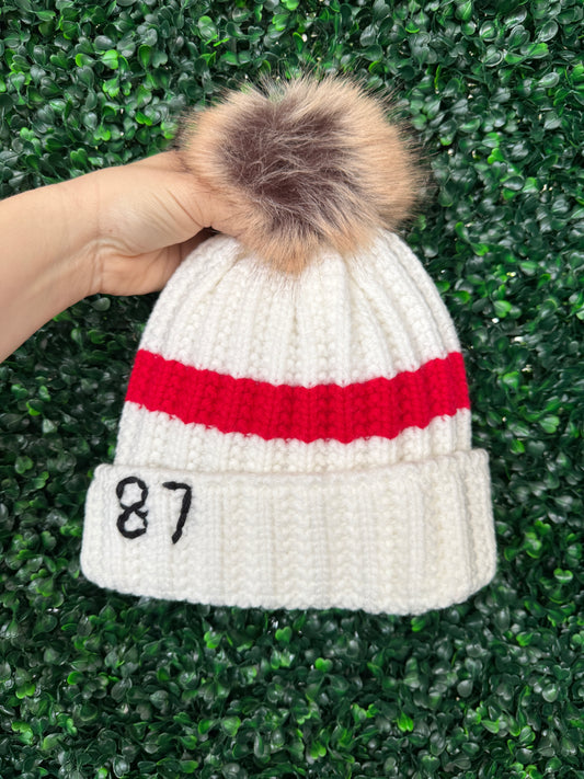 #87 Winter Knit Hat