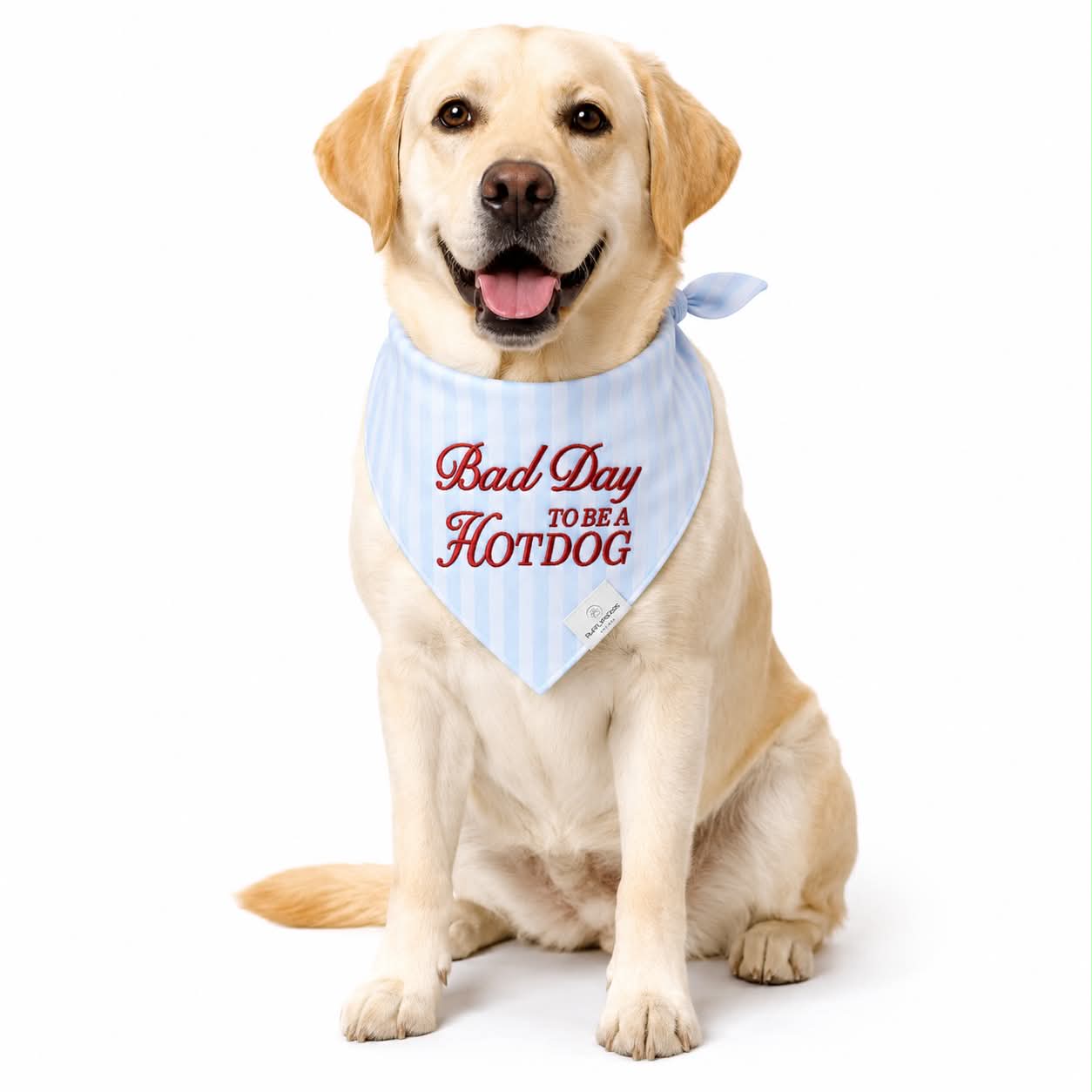 Bad Day to Be a Hot Dog Embroidered Bandana