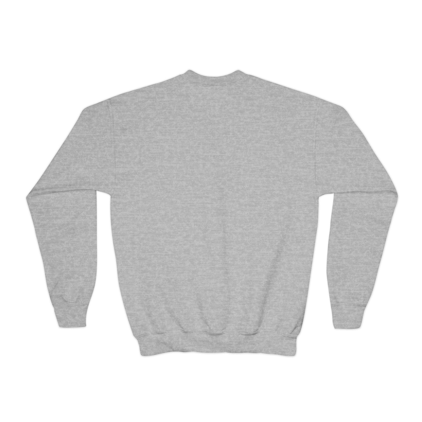 Youth Fly Saquon Crewneck - Multiple Colors!