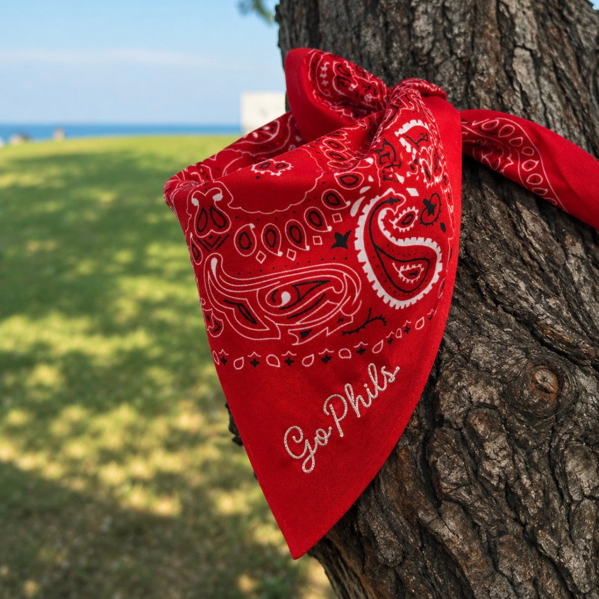 Go Phils Chain Stitch Bandana
