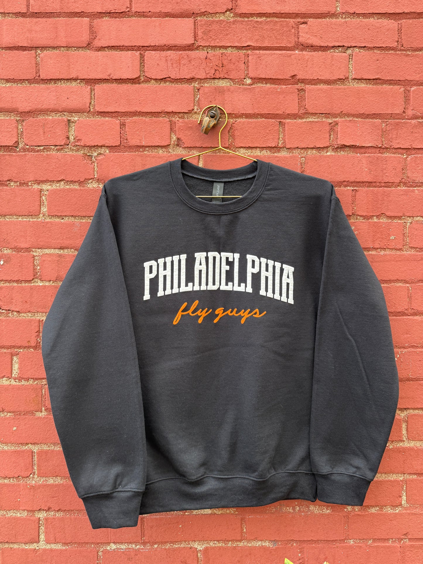Fly Guys Puff Crewneck