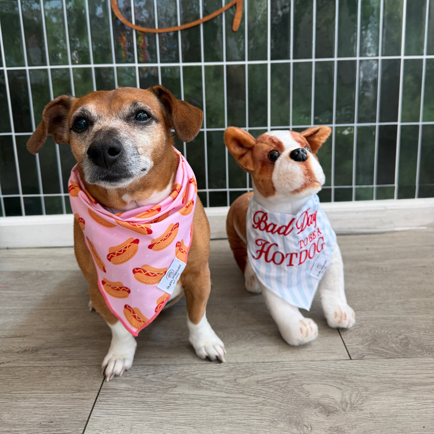 Bad Day to Be a Hot Dog Embroidered Bandana