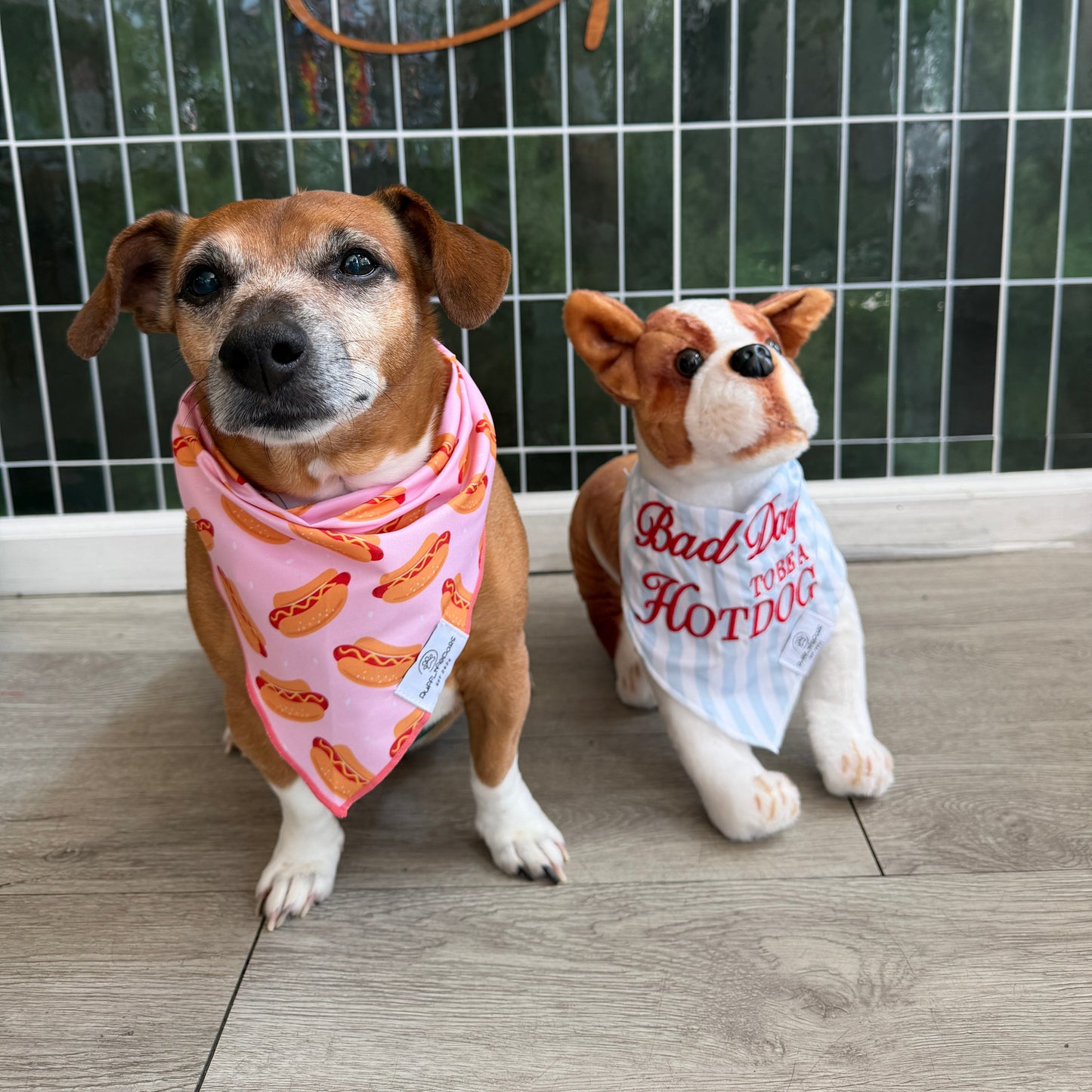 Hot Dog, Dog Bandana