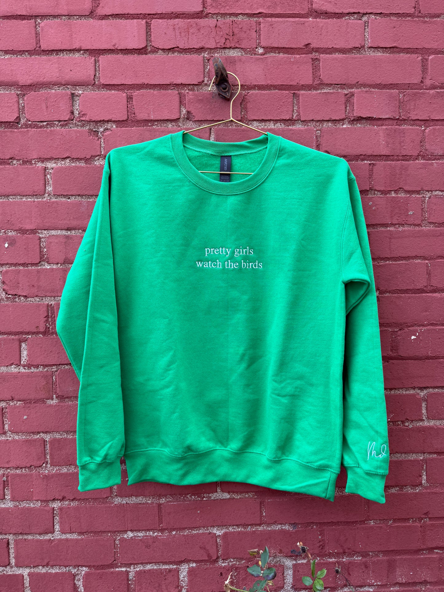 Pretty Girls Watch the Birds Sweatshirt