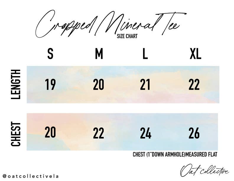 Philly Mineral Washed Crop Top