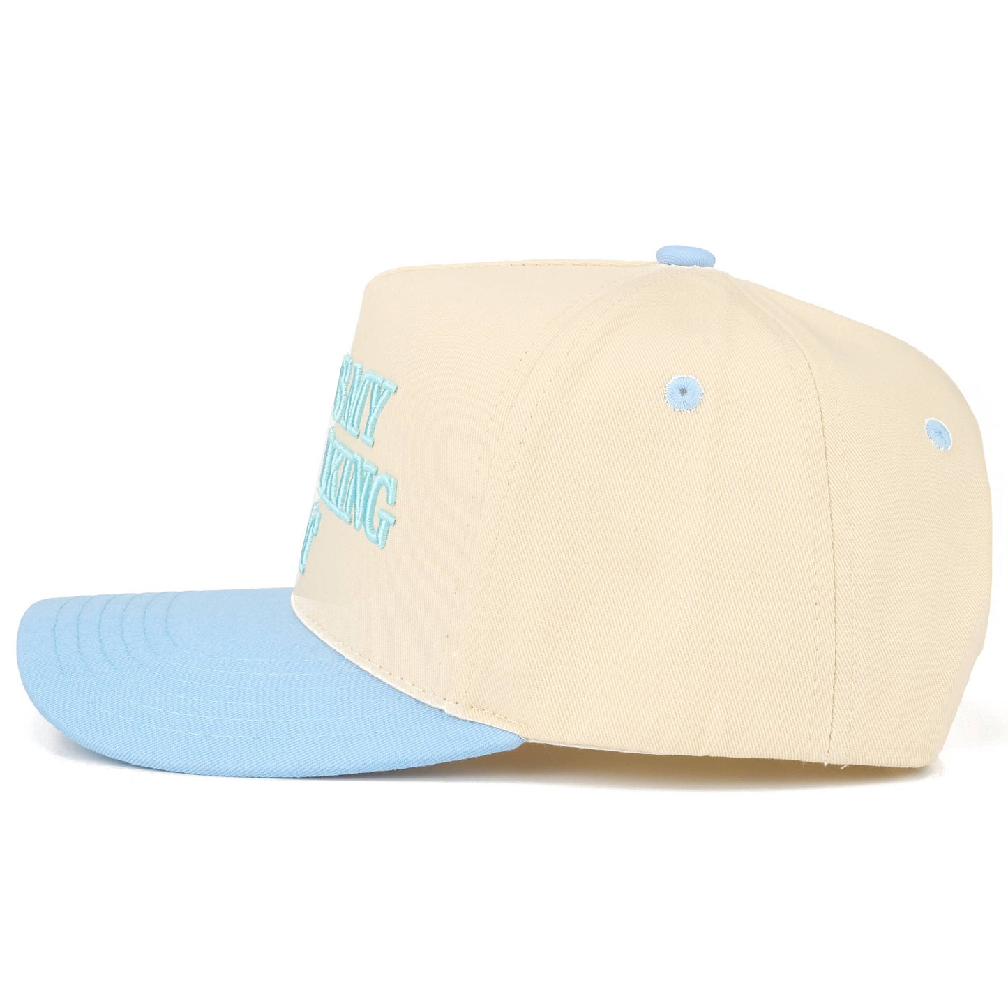 My Dog Walking Hat