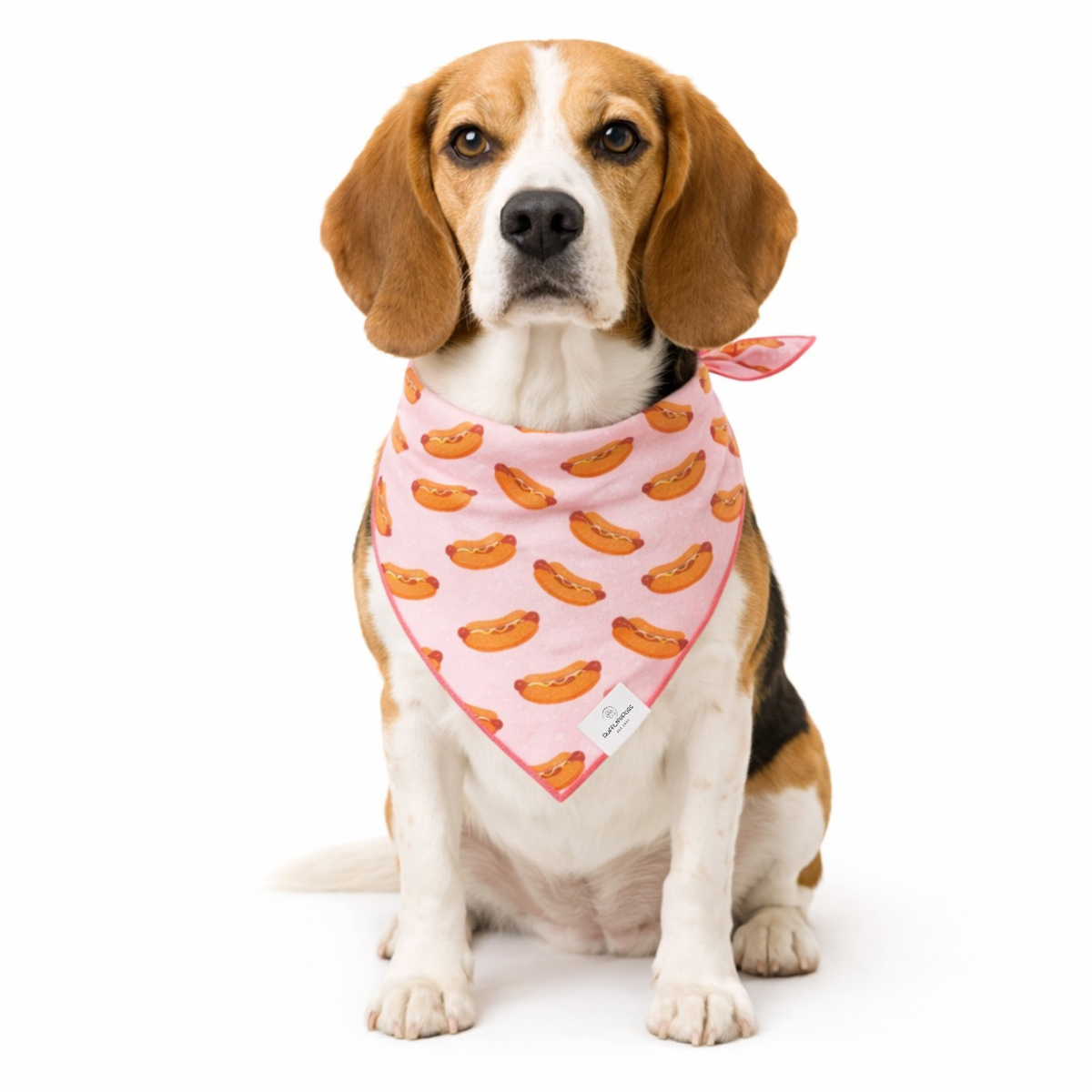 Hot Dog, Dog Bandana